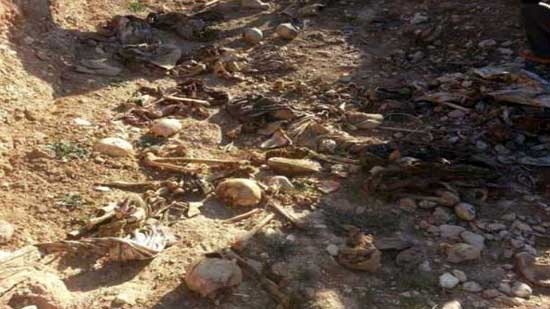 العثور على مقبرة جماعية تحوي رفات 25 ايزيديا شمال غرب العراق