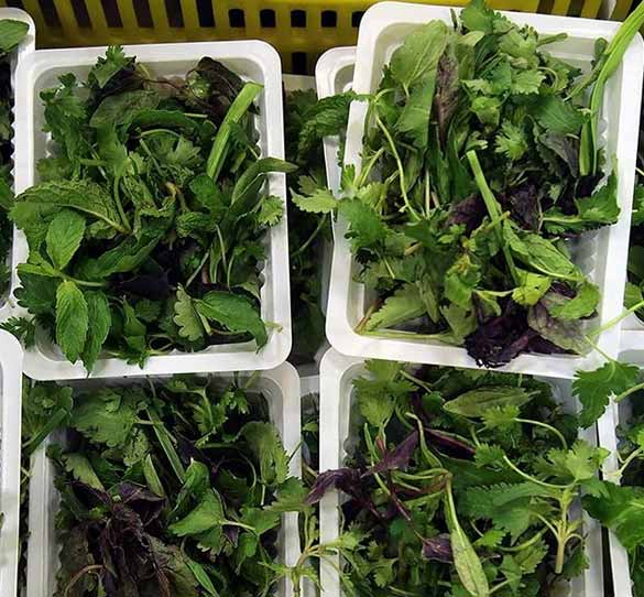 موائد الإفطار في العتبة الرضوية