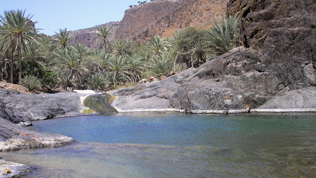 اليمن : ما يجري في سقطرى يفضح حقيقة العدوان