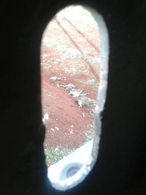 اللجان الشعبية تدمر آليات لـ&rsquo;جبهة النصرة&rsquo; وتقتل العشرات من مسلحيها في مدينتي نبل والزهراء بريف حلب 